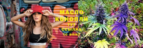 гидра Бежецк