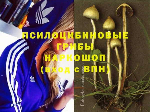 гидра Куйбышев