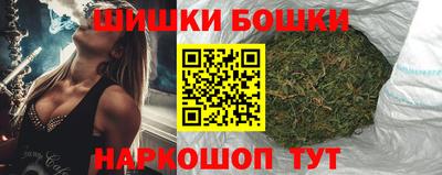 СК Дубна