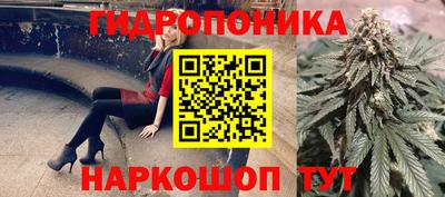 spice Балашиха