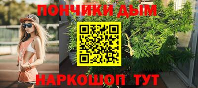СК Дубна