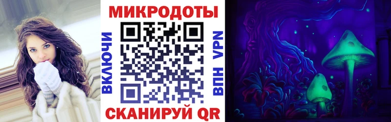 kraken   Касимов  Псилоцибиновые грибы Cubensis 