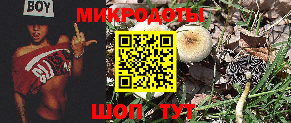 Кетамин  Касимов  Мефедрон кристаллы  Вход с VPN  ГАШ  КОКАИН  МДМА  МАРИХУАНА 