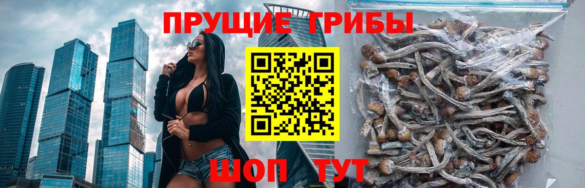 Псилоцибиновые грибы MAGIC MUSHROOMS Касимов