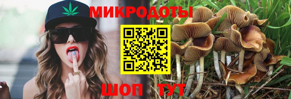 Касимов  цены   Вход с VPN  Галлюциногенные грибы Magic Shrooms 