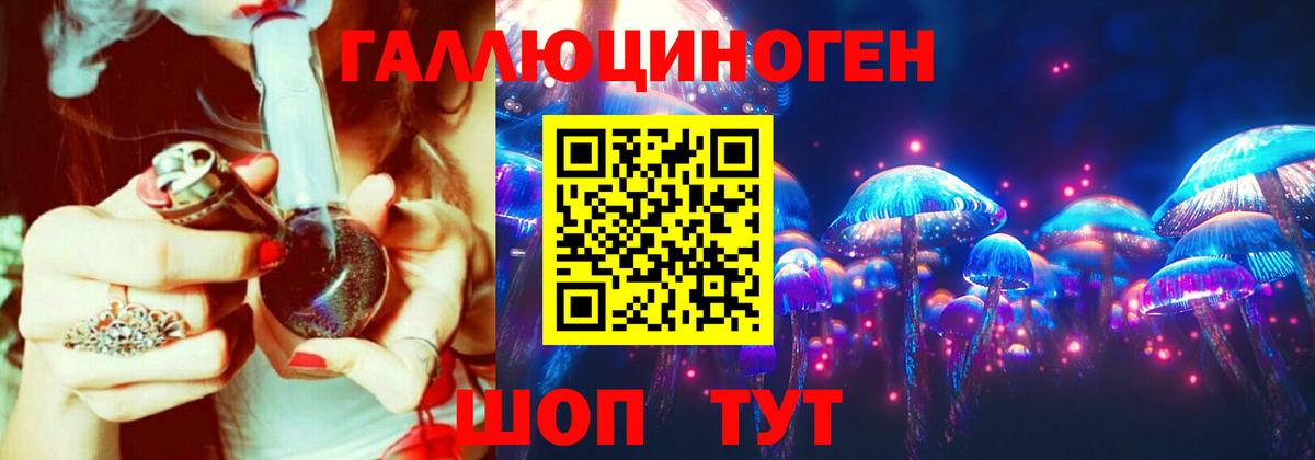 Псилоцибиновые грибы Cubensis  Касимов 